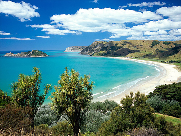 Kiwi West Coast